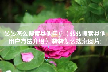 转转怎么搜索其他用户（转转搜索其他用户方法介绍）(转转怎么搜索图片)