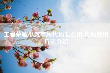 王者荣耀小虎市集代码怎么用 代码使用方法介绍