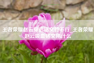 王者荣耀赵云穿透铭文行不行_王者荣耀赵云吸血铭文用什么
