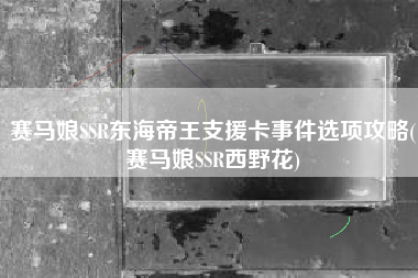 赛马娘SSR东海帝王支援卡事件选项攻略(赛马娘SSR西野花)