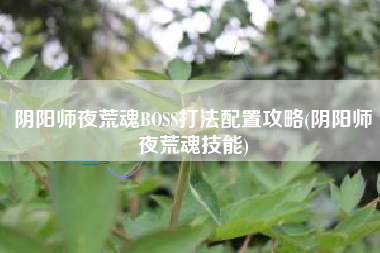 阴阳师夜荒魂BOSS打法配置攻略(阴阳师夜荒魂技能)