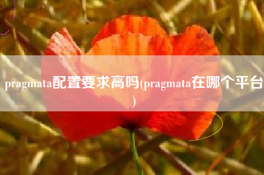 pragmata配置要求高吗(pragmata在哪个平台)