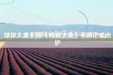 球你太美手游,《鸡你太美》手游正式出炉