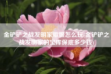金铲铲之战发明家歌姬怎么玩(金铲铲之战发明家的宝库保底多少钱)
