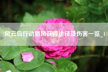 风云岛行动猎风获得途径及伤害一览_1