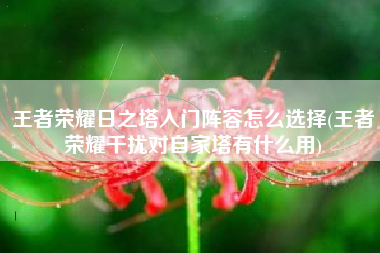 王者荣耀日之塔入门阵容怎么选择(王者荣耀干扰对自家塔有什么用)