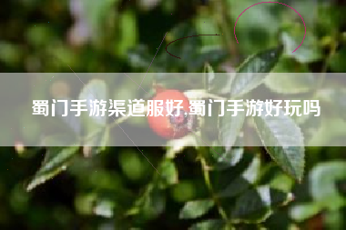 蜀门手游渠道服好,蜀门手游好玩吗