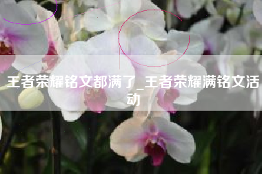 王者荣耀铭文都满了_王者荣耀满铭文活动