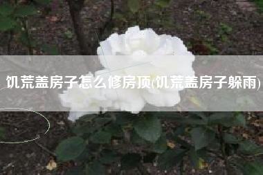 饥荒盖房子怎么修房顶(饥荒盖房子躲雨)
