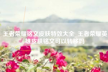 王者荣耀铭文皮肤特效大全_王者荣耀英雄皮肤铭文可以转移吗