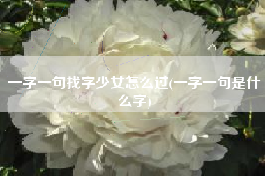 一字一句找字少女怎么过(一字一句是什么字)