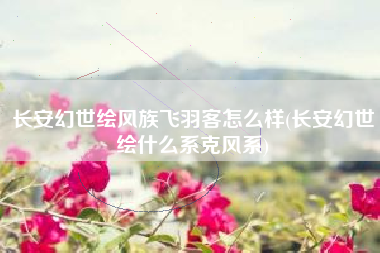 长安幻世绘风族飞羽客怎么样(长安幻世绘什么系克风系)