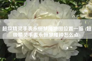 超级精灵手表永恒梦魇地图位置一览 (超级精灵手表永恒梦魇钟怎么点)