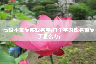 高级不重复游戏名字(六个字游戏名重复了怎么办)
