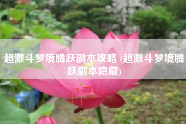 超激斗梦境腾跃副本攻略 (超激斗梦境腾跃副本隐藏)