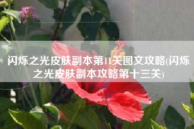 闪烁之光皮肤副本第11关图文攻略(闪烁之光皮肤副本攻略第十三关)