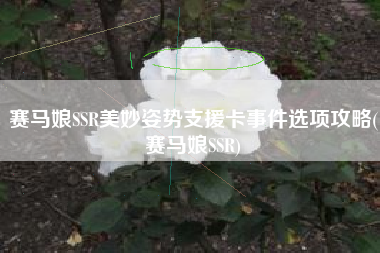 赛马娘SSR美妙姿势支援卡事件选项攻略(赛马娘SSR)