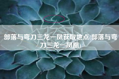 部落与弯刀三龙一凤获取地点(部落与弯刀三龙一凤凰)