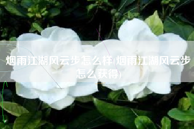 烟雨江湖风云步怎么样(烟雨江湖风云步怎么获得)