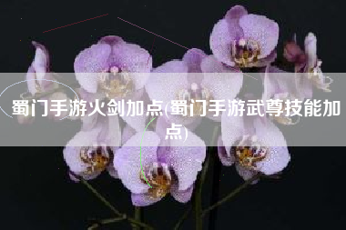 蜀门手游火剑加点(蜀门手游武尊技能加点)