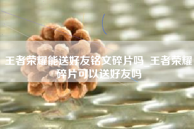 王者荣耀能送好友铭文碎片吗_王者荣耀碎片可以送好友吗