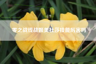 零之战线战姬美杜莎技能厉害吗