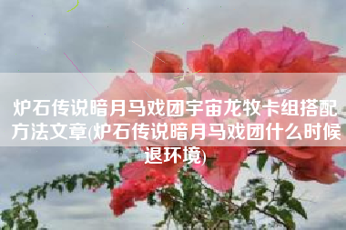 炉石传说暗月马戏团宇宙龙牧卡组搭配方法文章(炉石传说暗月马戏团什么时候退环境)