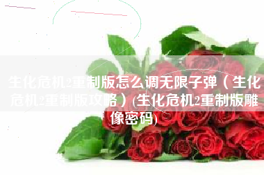 生化危机2重制版怎么调无限子弹（生化危机2重制版攻略）(生化危机2重制版雕像密码)