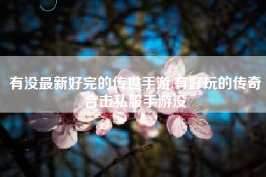 有没最新好完的传世手游,有好玩的传奇合击私服手游没