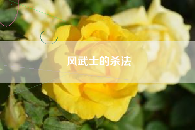 风武士的杀法