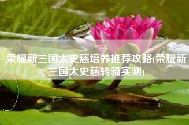 荣耀新三国太史慈培养推荐攻略(荣耀新三国太史慈转骑实测)