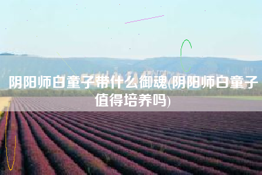 阴阳师白童子带什么御魂(阴阳师白童子值得培养吗)