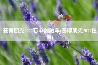 赛博朋克2077石中剑跑车(赛博朋克2077性偶)