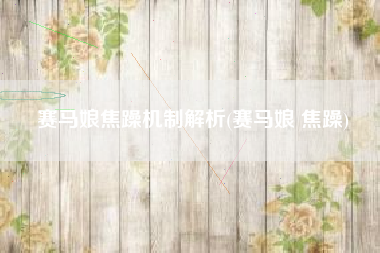 赛马娘焦躁机制解析(赛马娘 焦躁)