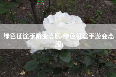 绿色征途手游变态服(绿色征途手游变态服)
