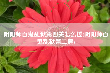 阴阳师百鬼乱狱第四关怎么过(阴阳师百鬼乱狱第二层)