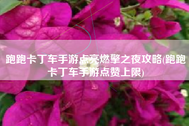 跑跑卡丁车手游点亮燃擎之夜攻略(跑跑卡丁车手游点赞上限)