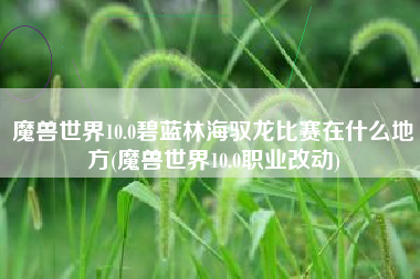 魔兽世界10.0碧蓝林海驭龙比赛在什么地方(魔兽世界10.0职业改动)