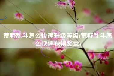荒野乱斗怎么快速升级等级(荒野乱斗怎么快速获得奖章)