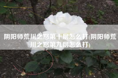 阴阳师荒川之怒第十层怎么打(阴阳师荒川之怒第九层怎么打)