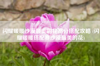 闪耀暖暖沙漠最美的花高分搭配攻略 (闪耀暖暖搭配赛沙漠最美的花)