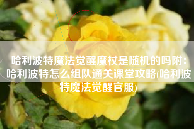 哈利波特魔法觉醒魔杖是随机的吗附：哈利波特怎么组队通关课堂攻略(哈利波特魔法觉醒官服)