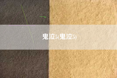 鬼泣5(鬼泣5)