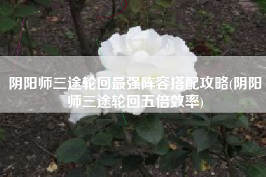 阴阳师三途轮回最强阵容搭配攻略(阴阳师三途轮回五倍效率)