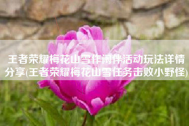王者荣耀梅花山雪作闲伴活动玩法详情分享(王者荣耀梅花山雪任务击败小野怪)