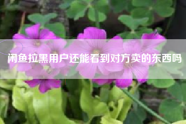 闲鱼拉黑用户还能看到对方卖的东西吗