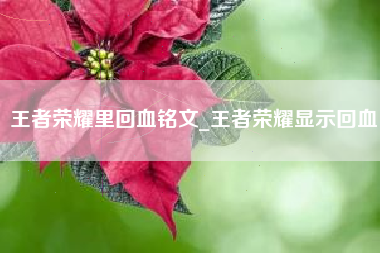 王者荣耀里回血铭文_王者荣耀显示回血