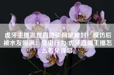 虎牙主播混世直播谈阿星被封！模仿后被水友嘲讽：臭虫行为(虎牙直播主播怎么看见弹幕)