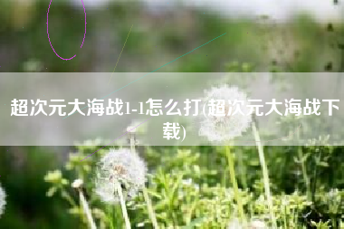 超次元大海战1-1怎么打(超次元大海战下载)