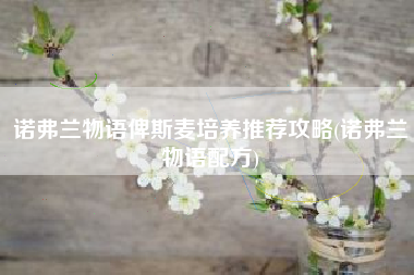 诺弗兰物语俾斯麦培养推荐攻略(诺弗兰物语配方)